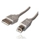 Cable USB AM/BM de 5m (pour imprimante)